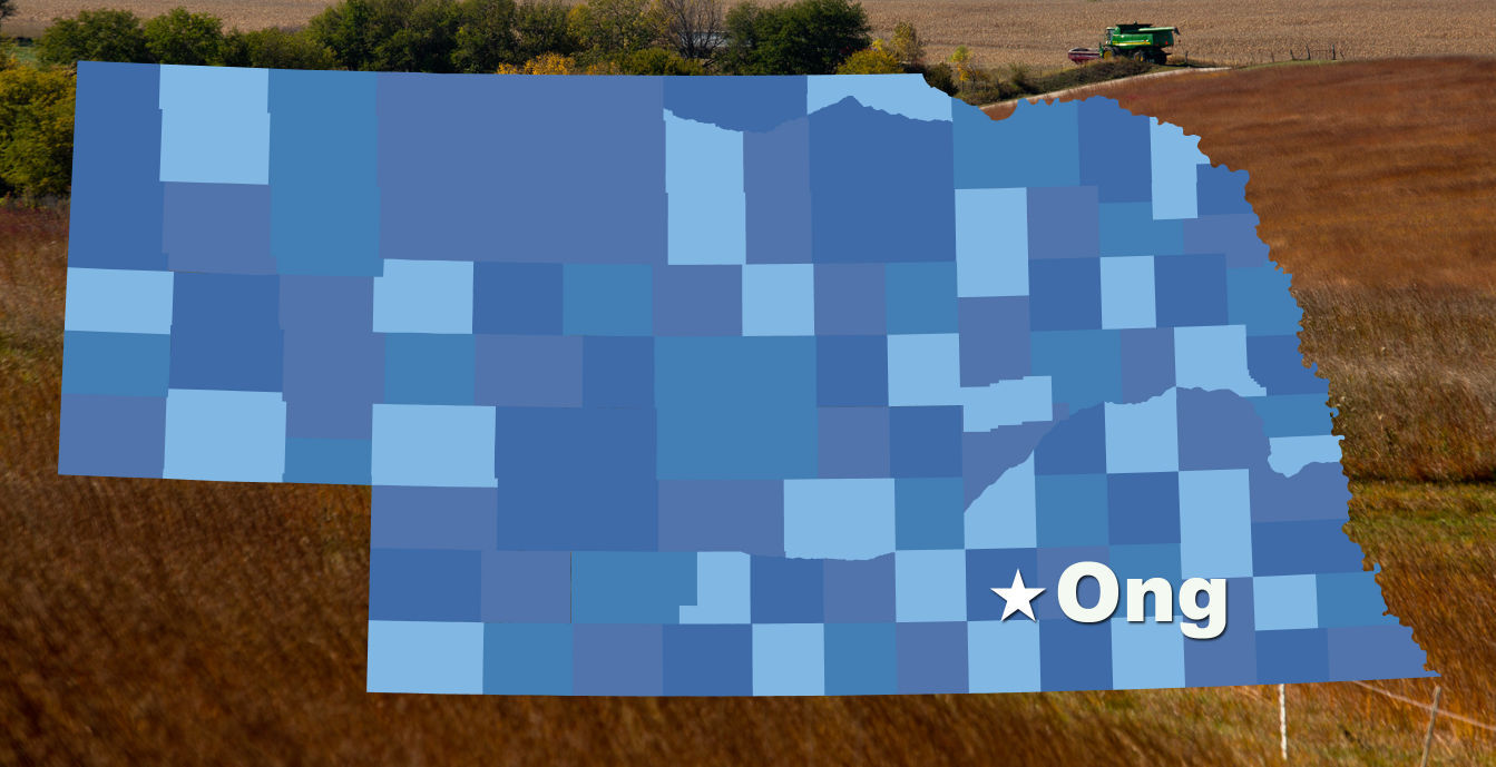 Ong